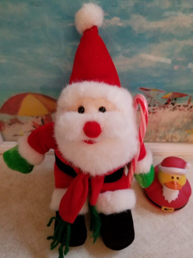 Florida Buyer Broker Santa Claus